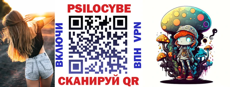 omg как зайти Шлиссельбург Псилоцибиновые грибы Psilocybine cubensis